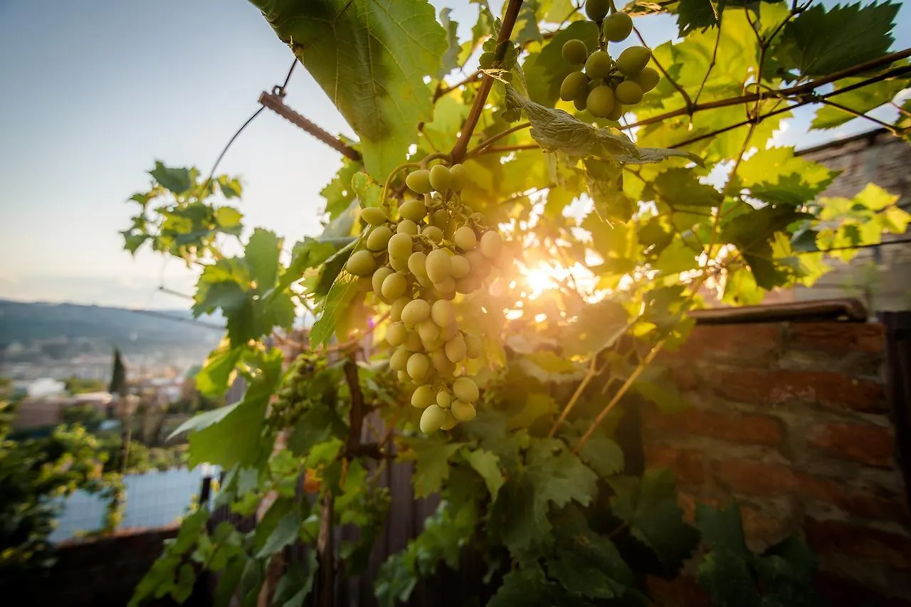 Ma Xata Bed and Breakfast Tbilisi